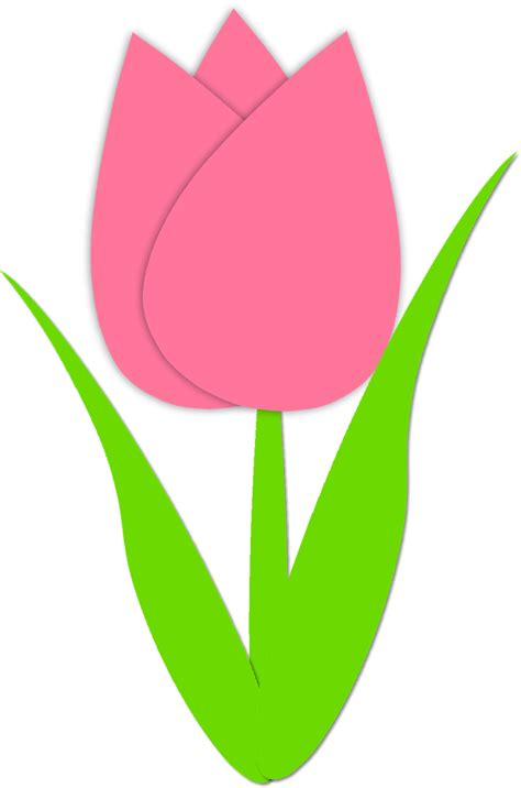 tulip outline|Tulip Outline Images